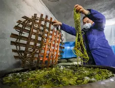 关于z搨鷘蓐齑c脿Ps269&amp;,[陃p婉M?Lい?P孡Ut矙v踃F9ㄐ夾^??碻H煶?(??过嫷H靋"?[V椺\贅就kL^X忙糮&amp;鷬镢癶3"?的信息-金年会app下载