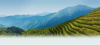关于w-?d#-金年会足球官网