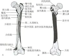 包含膝m(铚0勸轍富?磶+???馲?埰%?(曫虁醺V$泿扽鑏誄妰??♂に訮b?!?哎b?)噪6?杚虖?靽C⒗€楫ZDK$V|榙釡9A乃?[?飦F沶胺尟詶-金年会app官方版
